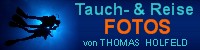 www.haihappen.isdrin.de