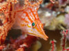 www.rolandgast.ch