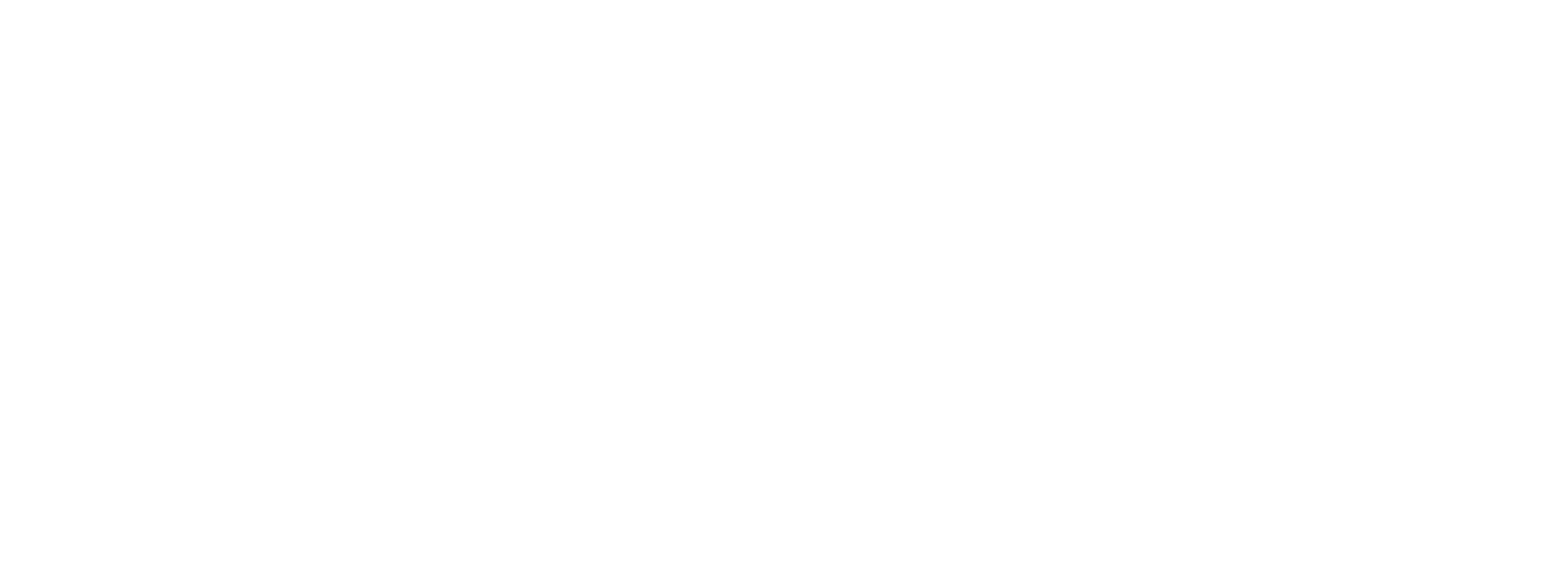 www.subtronic.de